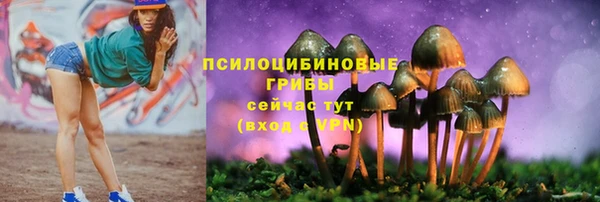 героин Алзамай
