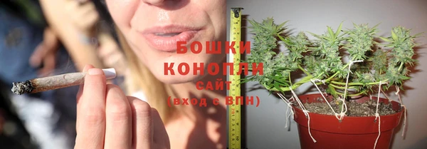 марихуана Абаза