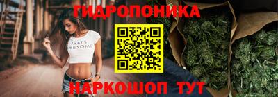 ECSTASY Боровичи