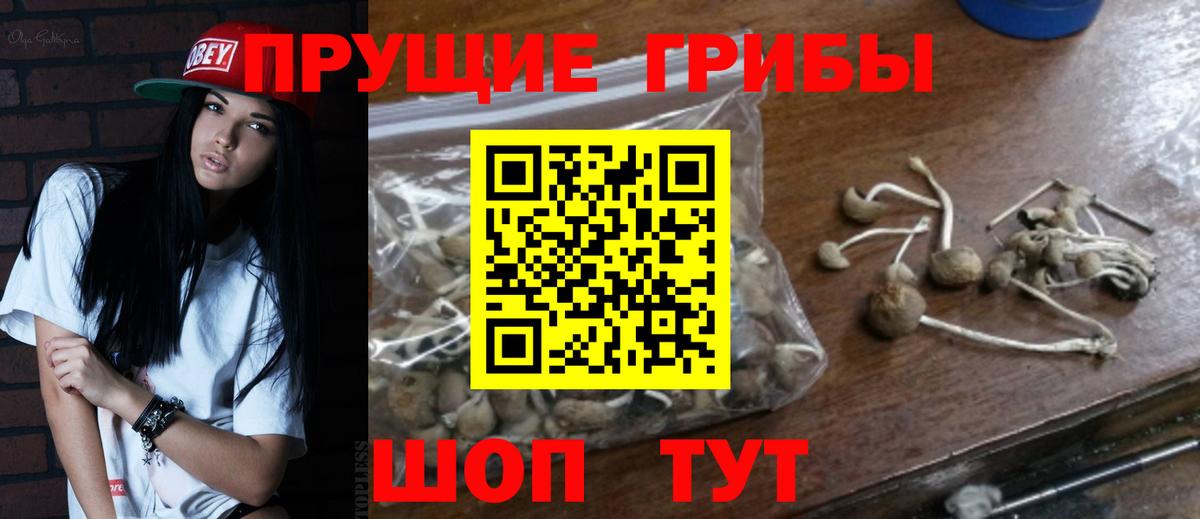 Псилоцибиновые грибы мухоморы Моршанск